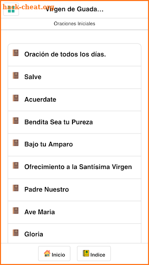 Virgen de Guadalupe screenshot