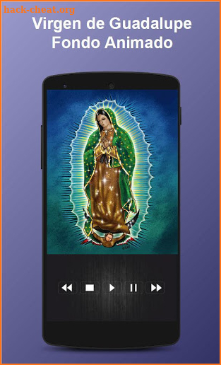 Virgen de Guadalupe Fondo Animado screenshot