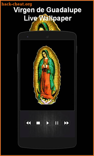 Virgen de Guadalupe Live Wallpaper screenshot