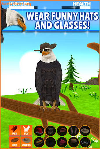 Virtual Pet Eagle screenshot