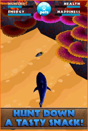 Virtual Pet Great White Shark screenshot