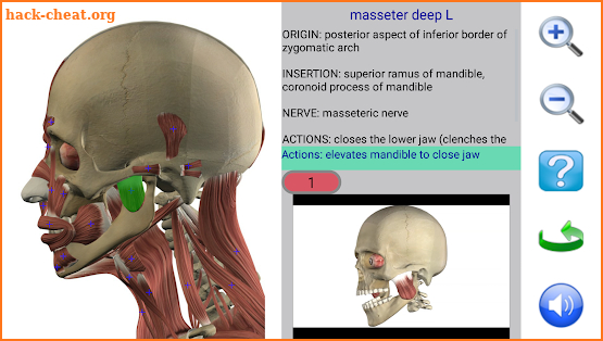 Visual Anatomy 2 screenshot