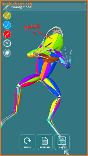 Visual Anatomy 3D - Frog screenshot