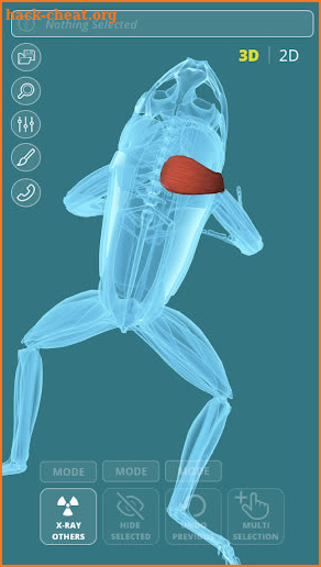 Visual Anatomy 3D - Frog screenshot