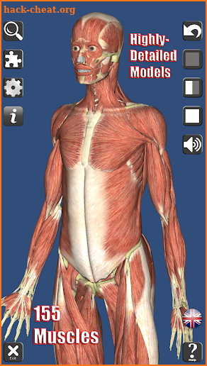 Visual Muscles 3D screenshot