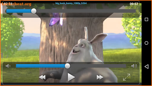 VLC Streamer screenshot