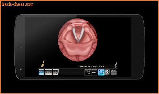 Vocal Folds ID screenshot