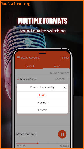 Voice Recorder & Audio Recorder screenshot