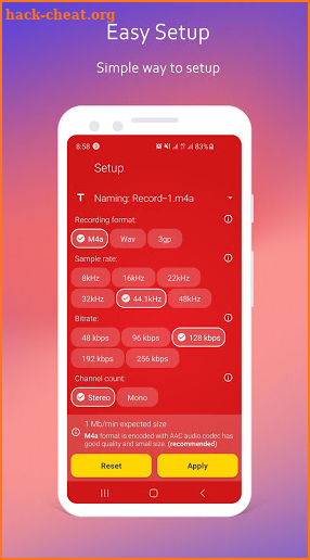 Voice Recorder ~ Audio Recorder screenshot