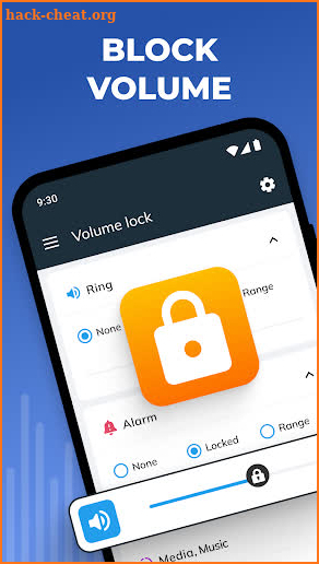 Volume Control & Lock and Mute screenshot