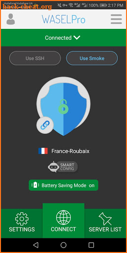 VPN WASEL Pro screenshot