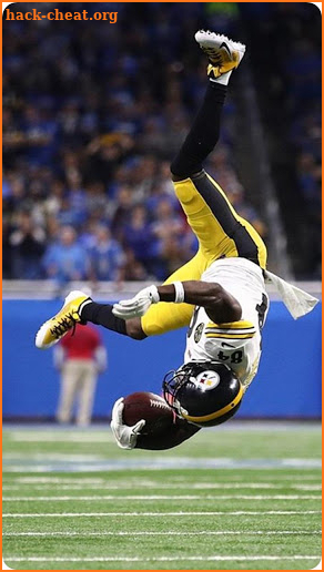 Wallpapers for Pittsburgh Steelers screenshot