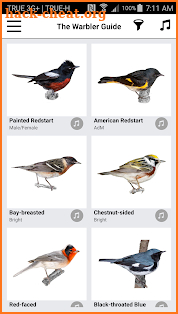 Warbler Guide App screenshot