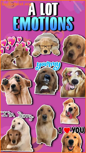 🐕 WAstickerApps Golden Retriever Stickers Memes screenshot