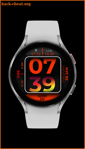 Watch Face FR2 screenshot