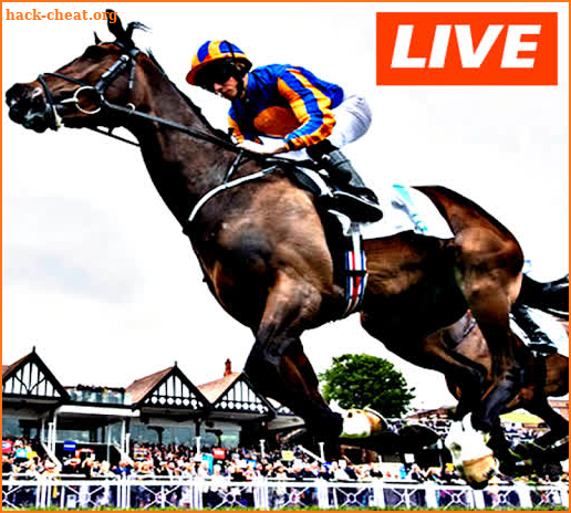 Watch Horse Racing Live Stream FREE screenshot