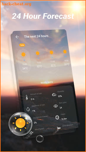 Weather forecast - climate hourly screenshot