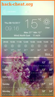 weather forecast - weather screenshot