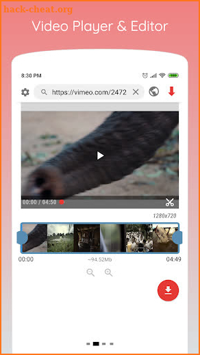 Website Video Downloader screenshot