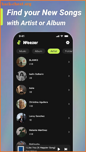 Weezer-Lite, MP3 Music player screenshot