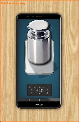 Weight scale Simulator screenshot