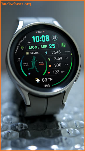 WFP 176 Fitness animated watch screenshot