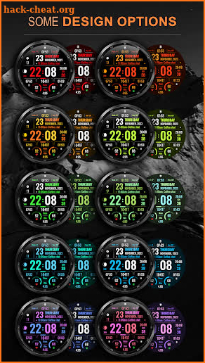 WFP 316 Info Mod Watch Face screenshot