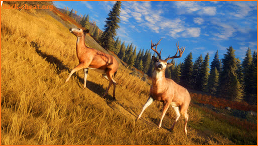 Wild Animal Hunting Game 3D screenshot