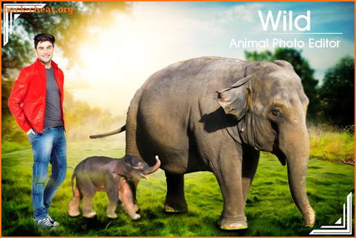 Wild Animal Photo Editor: Photo with Wild Animal screenshot