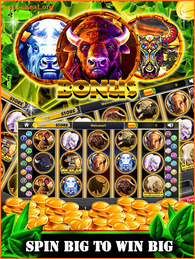 Wild Buffalo Safari HD Slots screenshot