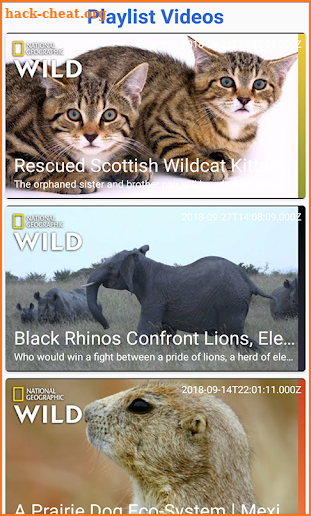 Wild Geographic Videos : Latest Animals Videos screenshot