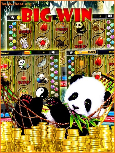 Wild Panda Slot Machines screenshot