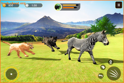 Wild Panther Family: Jungle Adventure screenshot