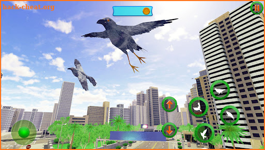 Wild Pigeon Simulator screenshot