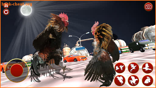 Wild Rooster Fighting Angry Chickens Fighter Games screenshot