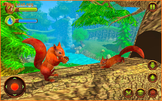 Wild Squirrel Simulator – Wildlife Forest Game screenshot