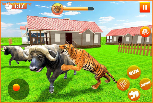 Wild Tiger City Rampage 2019 screenshot