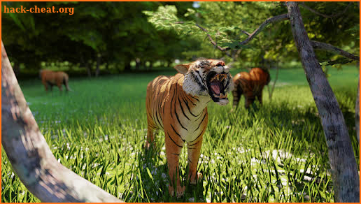 Wild Tiger Simulator - Animal Hunting Life Game screenshot