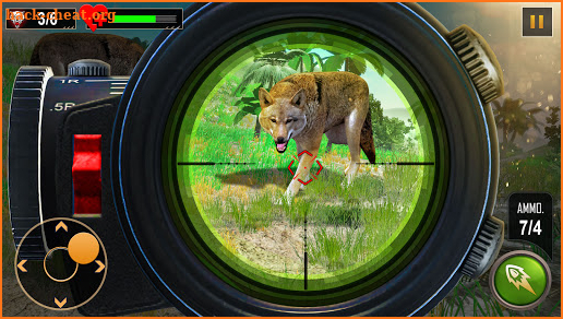 Wild Wolf Hunting Adventure: Animal Shooting Game screenshot