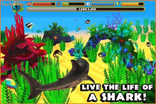 Wildlife Simulator: Shark screenshot