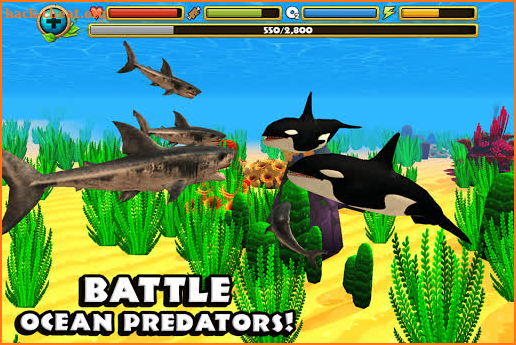 Wildlife Simulator: Shark screenshot