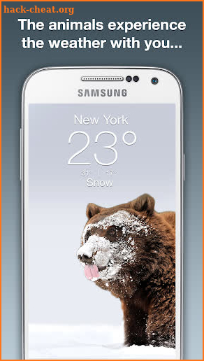 Wildlife Weather screenshot