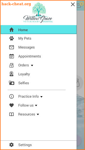 Willow Grace Vet Hospital screenshot
