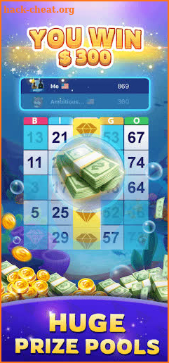 Win Bingo Clash: Real Cash Tip screenshot