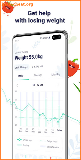 Window - Intermittent fasting tracker screenshot