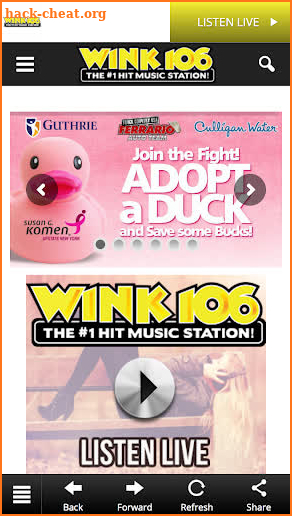 Wink 106 (WNKI FM) screenshot