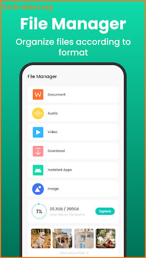 Wise Sweep Master-File Manager screenshot