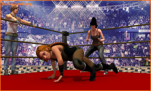 Women Tag Team Wrestling screenshot