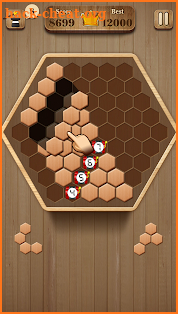 Wooden Hexagon Fit: Hexa Block Puzzle screenshot