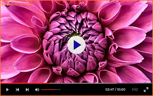 XNX Video Player - HD SAX Video Status Player screenshot